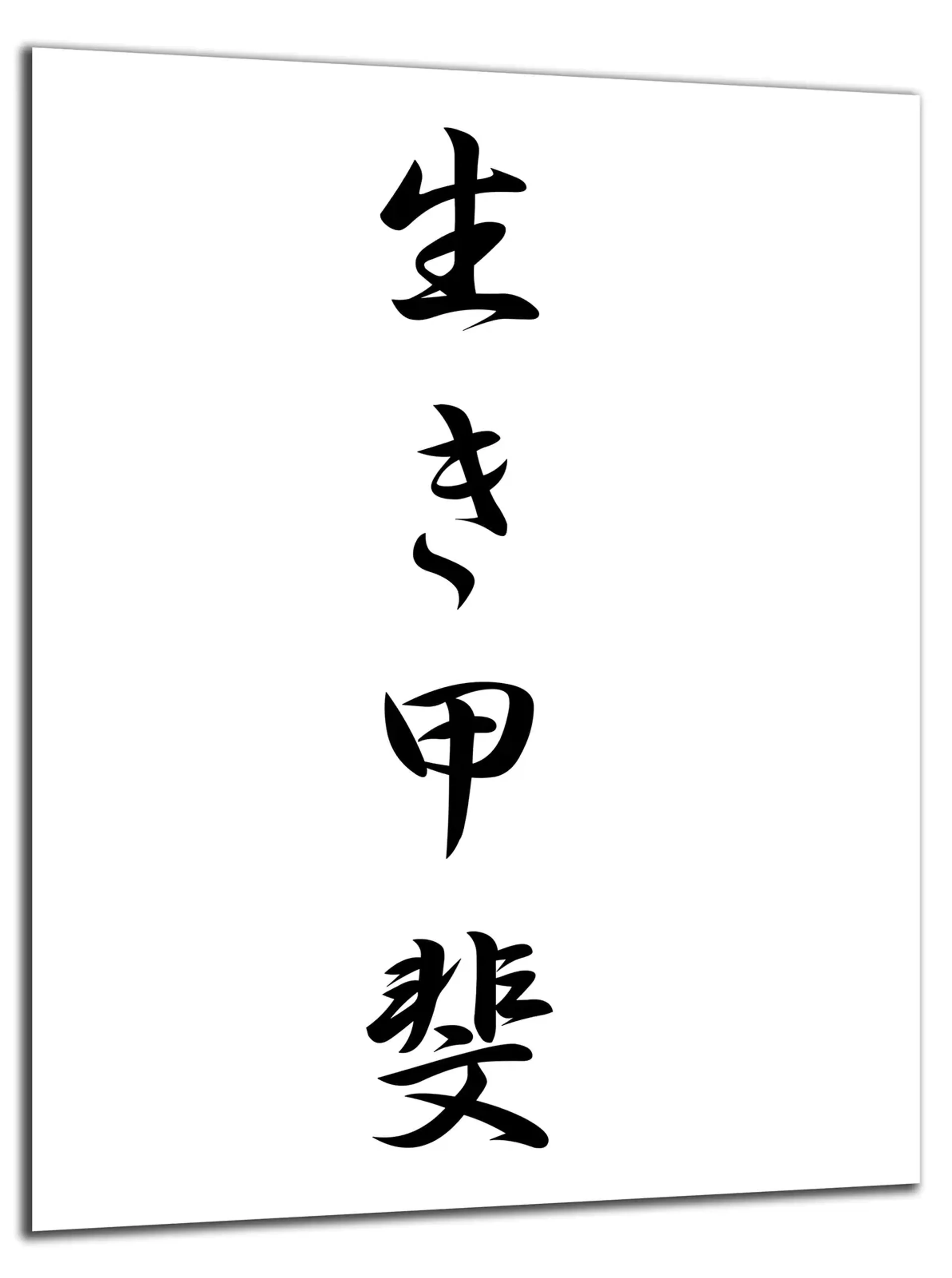 Ikigai in Schwarz-Weiß – Ansicht 5