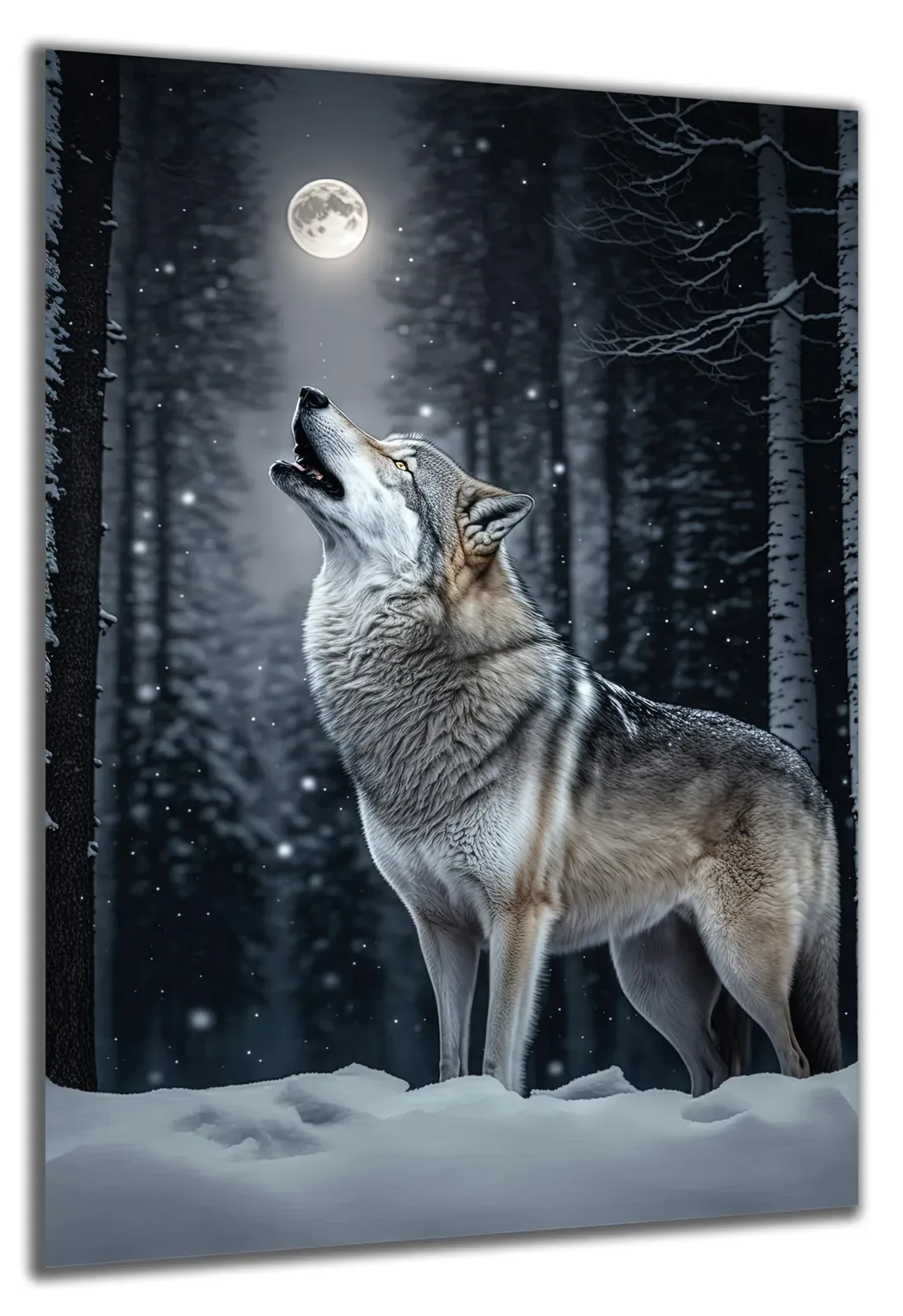 Wolfsruf im Winterwald – Ansicht 5