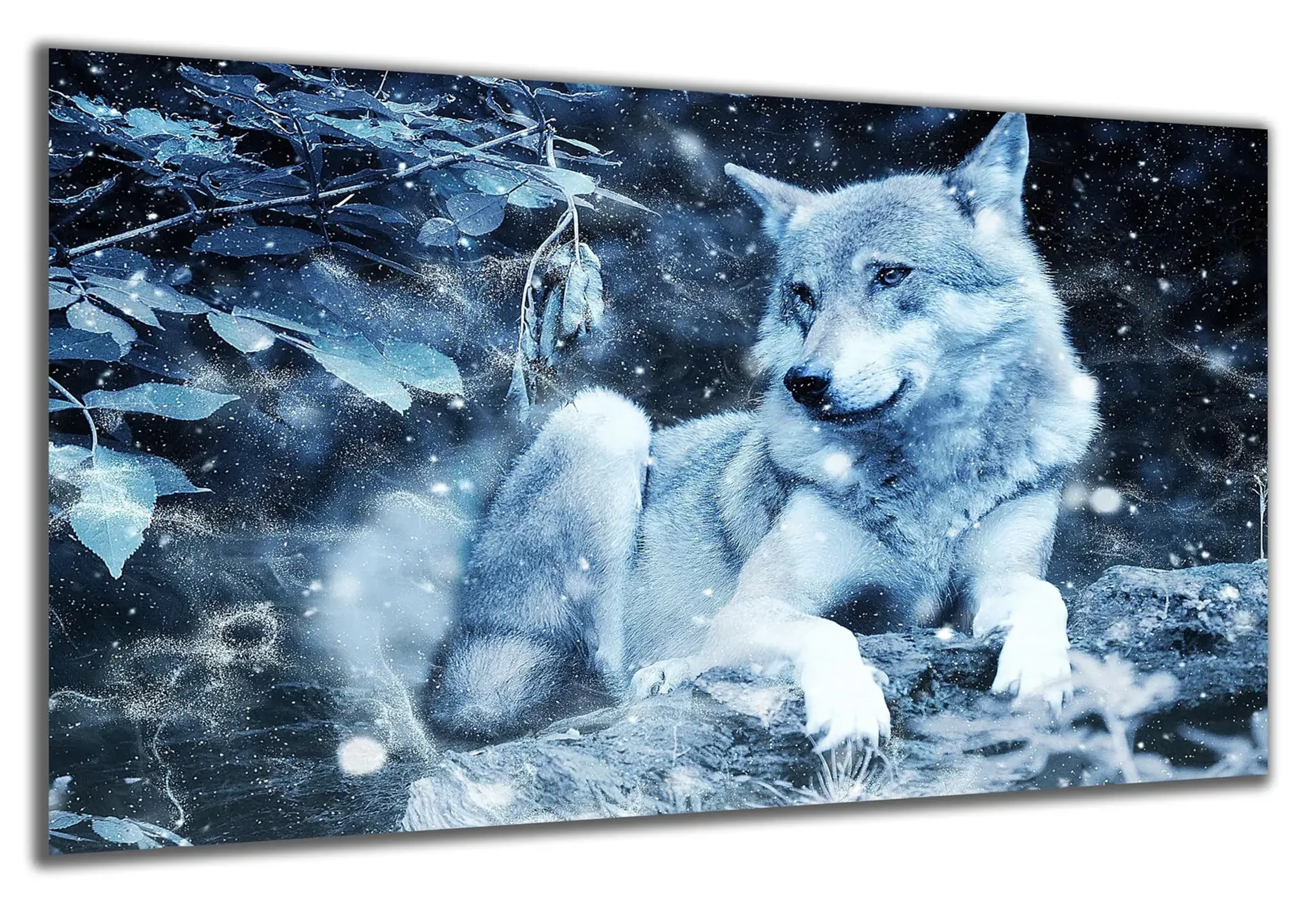 Wolf im Schneegestöber – Ansicht 5