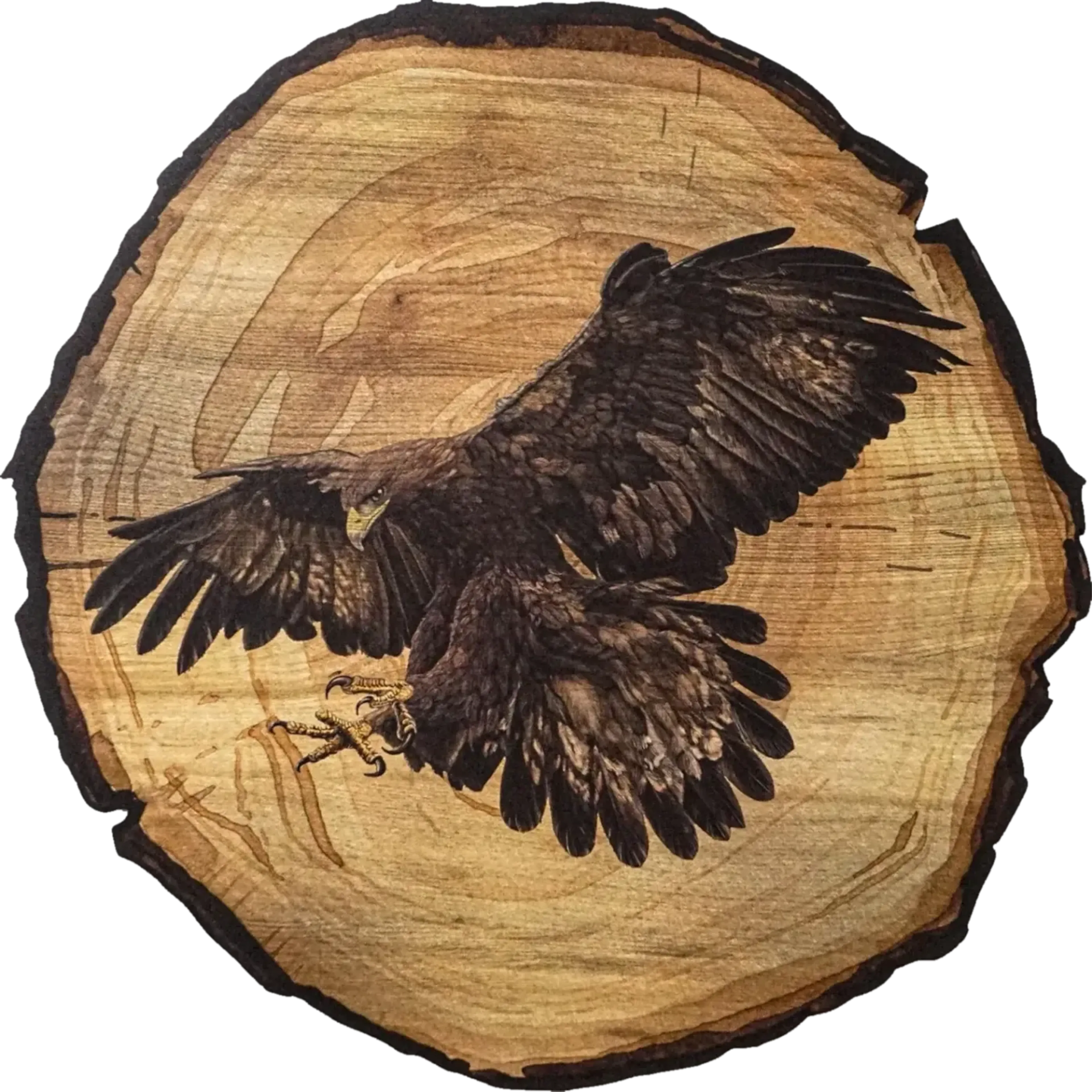 Dunkelbrauner Adler mit ausgebreiteten Flügeln und geöffneten Krallen auf goldbrauner Baumscheibenoptik.